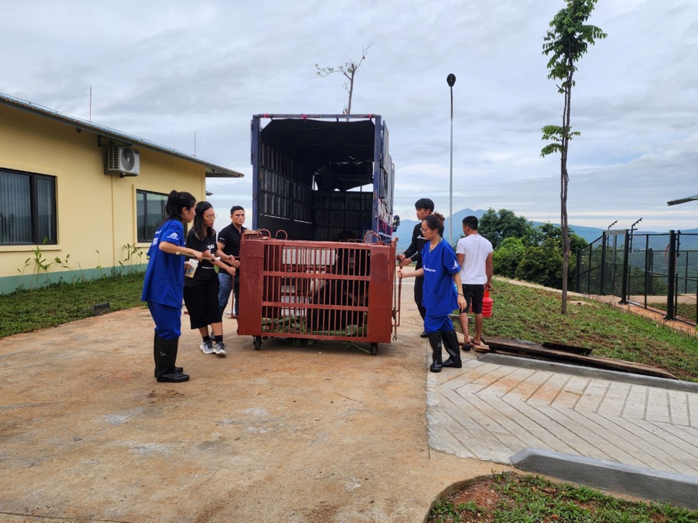 Thừa Thiên - Huế: VQG Bạch Mã khánh thành Trung tâm cứu hộ Gấu Việt Nam cơ sở 2, Giai đoạn 1